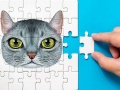 Permainan Tantangan Puzzle Abyssinian talian