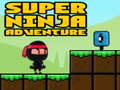 Permainan Ninja Pengembaraan Super talian