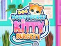 Permainan Doktor HoneyBerry Pembedahan Kucing talian