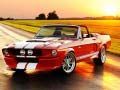 Permainan Perbezaan Mustang Mewah talian