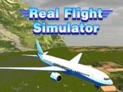 Permainan Simulator Penerbangan Sebenar talian