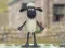 Permainan Shaun Si Domba: Pakaian Wol! talian