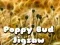 Permainan Teka-teki Bunga Poppy talian