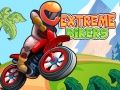 Permainan Penunggang Ekstrem talian