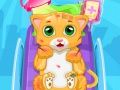 Permainan Doktor Kucing Kecil talian