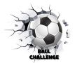 Permainan Cabaran Bola talian