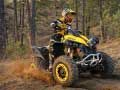 Permainan Teka-teki ATV Offroad talian