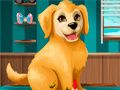 Permainan Jadilah Penggroom Anjing Anak talian Permainan Jadilah Penggroom Anjing Anak talian