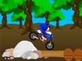 Permainan Lumba Sonic Silang talian