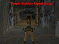 Permainan Tomb Raider: Lara Terbuka talian