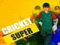 Permainan Kriket Super talian