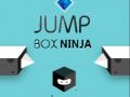 Permainan Ninja Kotak Melompat talian