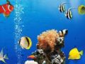 Permainan Perbezaan Bawah Laut talian