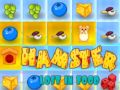 Permainan Hamster Hilang Dalam Makanan talian