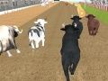 Permainan Lumba Lari Lembu Marah talian