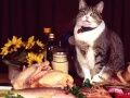 Permainan Teka-Teki Kucing Lucu talian