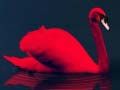 Permainan Teka-teki Burung Cinta talian
