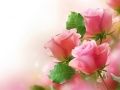 Permainan Rosa Merah Jambu talian