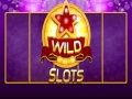 Permainan Slot Liar talian