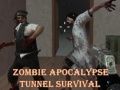 Permainan Kelangsungan Hidup Dalam Terowong Zombie Apocalypse talian