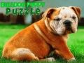 Permainan Teka-teki Anak Anjing Bulldog talian