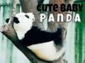 Permainan Panda Kecil Comel talian