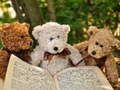 Permainan Teka-Teki Tiga Teddy Comel talian