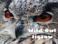 Permainan Teka-Teki Burung Hantu Liar talian