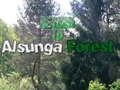 Permainan Kembali ke Hutan Alsunga talian
