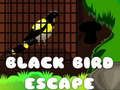 Permainan Pelarian Burung Hitam talian Permainan Pelarian Burung Hitam talian