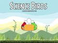 Permainan Burung Sains talian