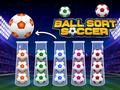 Permainan Penyortiran Bola Bola Sepak talian
