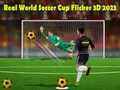 Permainan Piala Dunia Bola Sepak Sebenar Flicker 3D 2023 talian Permainan Piala Dunia Bola Sepak Sebenar Flicker 3D 2023 talian
