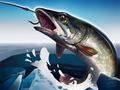 Permainan Memancing Ais 3D talian Permainan Memancing Ais 3D talian