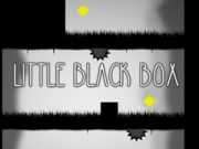 Permainan Kotak Hitam Kecil talian