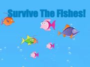 Permainan Survive di antara ikan talian Permainan Survive di antara ikan talian