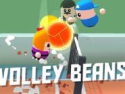 Permainan Kacang Bola Tampar talian Permainan Kacang Bola Tampar talian