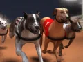 Permainan Lumba Anjing Greyhound talian