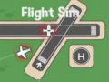 Permainan Simulator Penerbangan talian