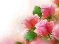 Permainan Rosa Merah Jambu talian Permainan Rosa Merah Jambu talian