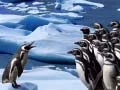 Permainan Gelongsor Penguin talian
