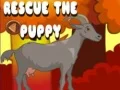 Permainan Selamatkan Anak Anjing talian