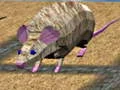 Permainan Lumba Tikus di Pulau talian