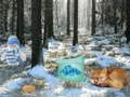 Permainan Pengembaraan Hutan Wonderland Musim Sejuk talian