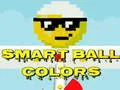 Permainan Bola Pintar Warna talian