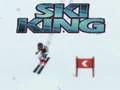 Permainan Raja Ski talian