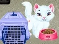 Permainan Penjagaan Haiwan Peliharaan Baby Taylor talian Permainan Penjagaan Haiwan Peliharaan Baby Taylor talian