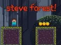 Permainan Hutan Steve talian Permainan Hutan Steve talian