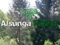 Permainan Kembali ke Hutan Alsunga talian Permainan Kembali ke Hutan Alsunga talian