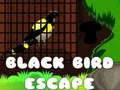 Permainan Pelarian Burung Hitam talian